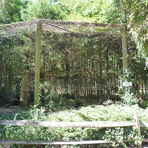 Bobcat Exhibit 9/7/13