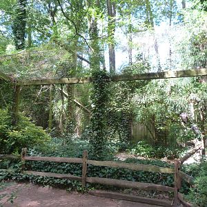 Spectacled Owl Exhibit - 9/7/13