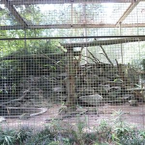 Jaguar Exhibit - 9/7/13