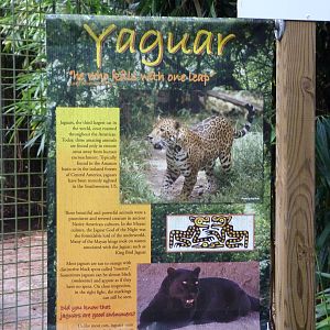 Jaguar Sign