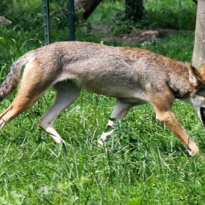 2013: Miller Park Zoo