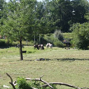 2013: Fort Wayne Children's Zoo