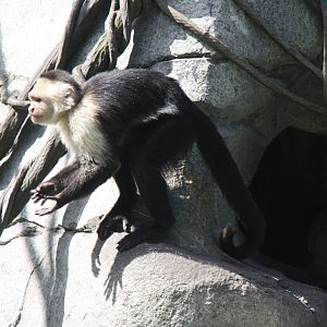 2013: Fort Wayne Children's Zoo