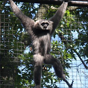 2013: Fort Wayne Children's Zoo