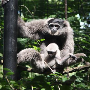 2013: Fort Wayne Children's Zoo