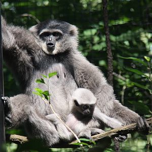 2013: Fort Wayne Children's Zoo