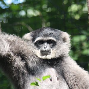 2013: Fort Wayne Children's Zoo