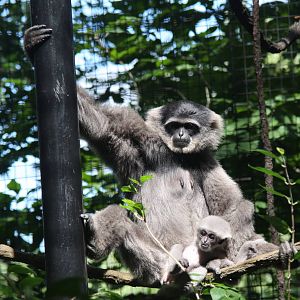 2013: Fort Wayne Children's Zoo
