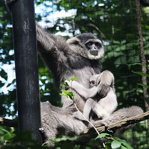 2013: Fort Wayne Children's Zoo