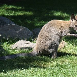 2013: Fort Wayne Children's Zoo