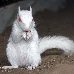 2013: Hutchinson Zoo