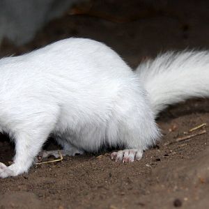 2013: Hutchinson Zoo