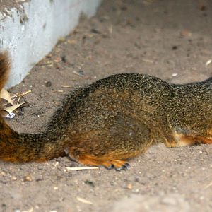 2013: Hutchinson Zoo