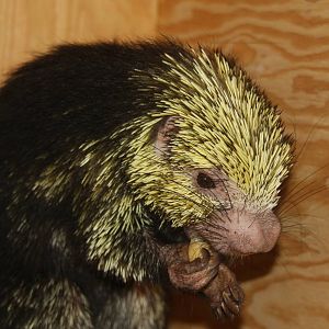 2013: Philadelphia Zoo