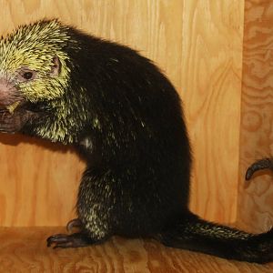 2013: Philadelphia Zoo