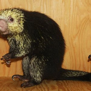 2013: Philadelphia Zoo