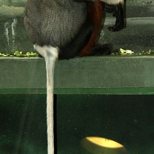 2013: Philadelphia Zoo