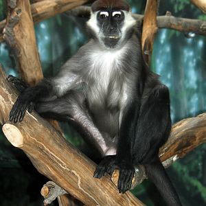 2013: Philadelphia Zoo