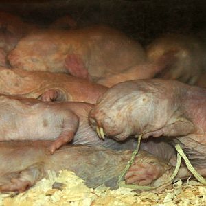 2013: Philadelphia Zoo