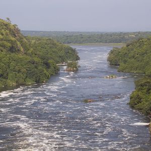 Victoria Nile from above Murchison Falls