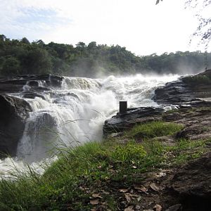 Murchison Falls from above