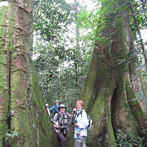 Orangeperson, Angela and two big buttresses
