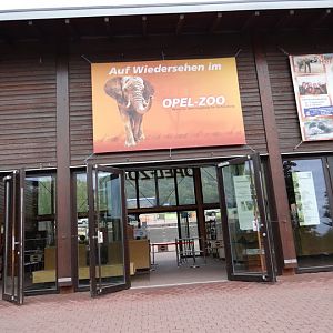 Exit from the zoo