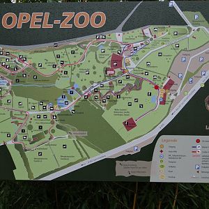 Plan zoo