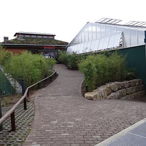 New pavilion of Loxodonta africana