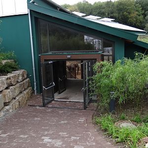 New pavilion of Loxodonta africana