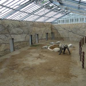 New pavilion of Loxodonta africana