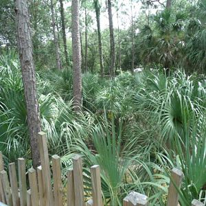 Key Deer/Whooping Crane Enclosure