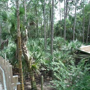 Key Deer/Whooping Crane Enclosure