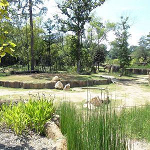 Elephant Enclosure