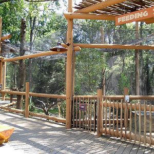 Inside Kiwanis Giraffe Encounter