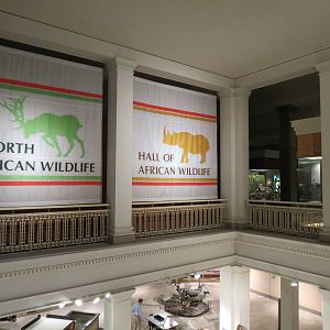 Halls of North American and African Wildlife Entrance
