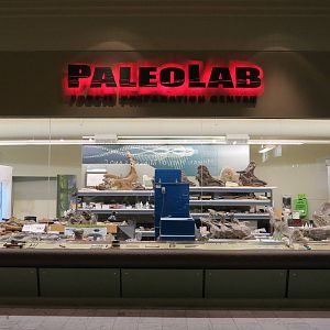 PaleoLab