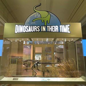 Dinosaurs In Their Time