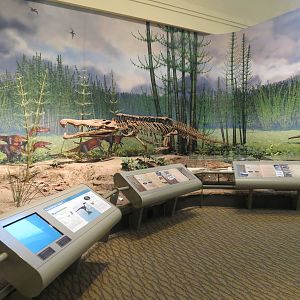 Dinosaurs In Their Time