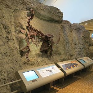 Dinosaurs In Their Time