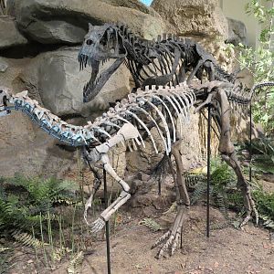 Dinosaurs In Their Time