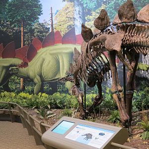 Dinosaurs In Their Time