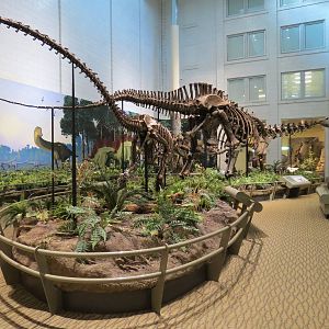 Dinosaurs In Their Time