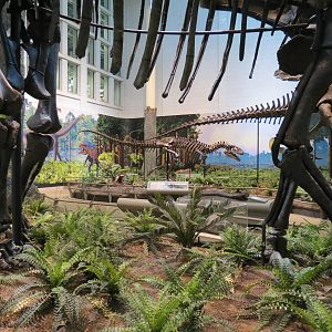 Dinosaurs In Their Time