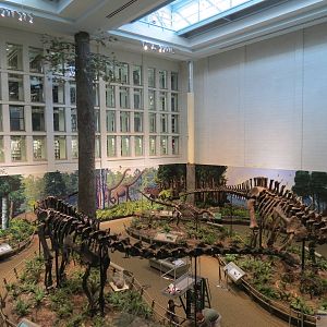 Dinosaurs In Their Time