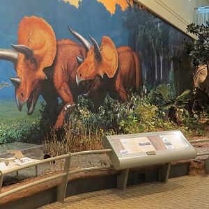 Dinosaurs In Their Time