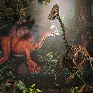 Dinosaurs In Their Time