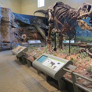 Dinosaurs In Their Time