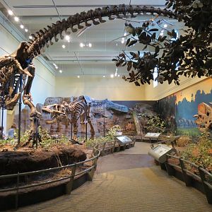 Dinosaurs In Their Time