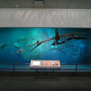 Dinosaurs In Their Time